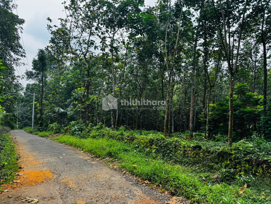 Residential land available for Sale in Uzhavoor, Pala, Kottayam