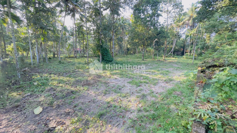 Commercial Plots available for Sale in Kayamkulam Alappuzha