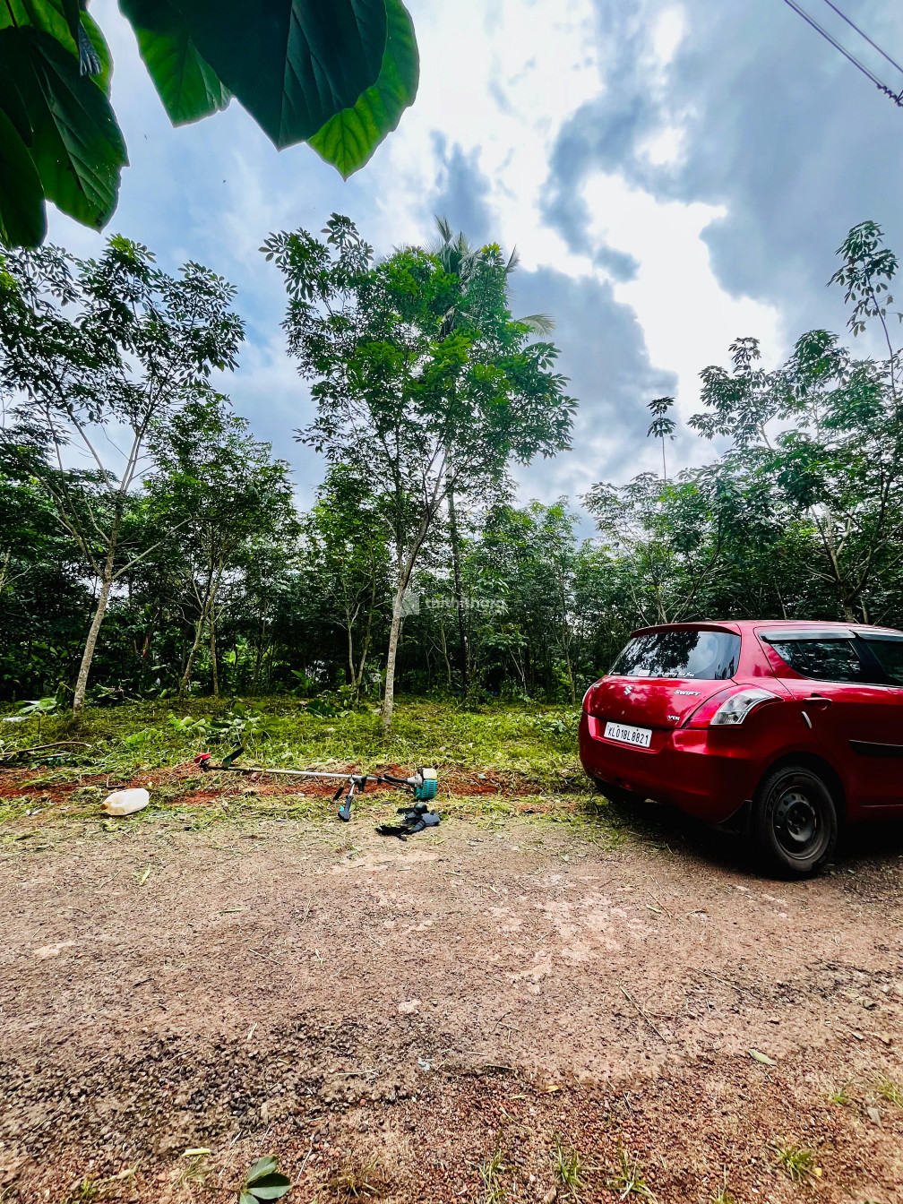 Residential Land available for sale in Chathannoor Kollam