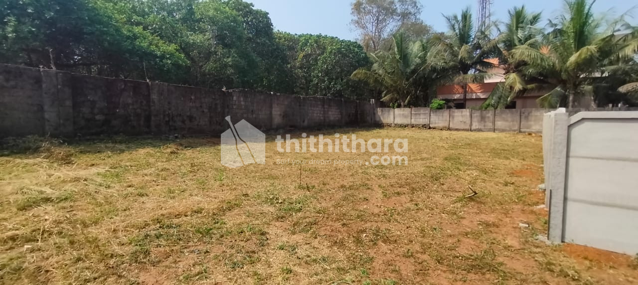 Residential land for sale in Nellikunnu Thrissur