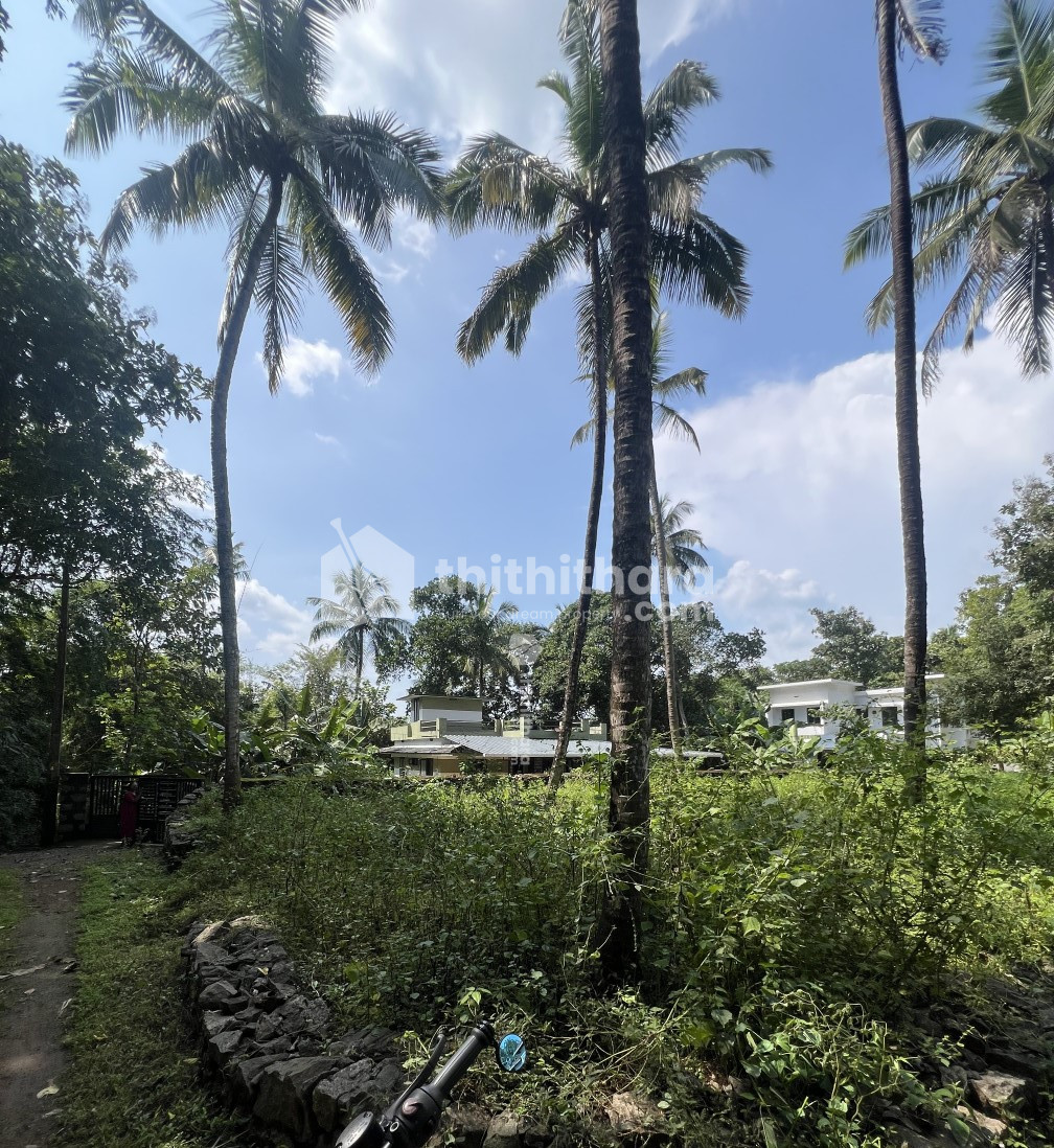 Residential land for sale at Vadanamkurshi Palakkad 