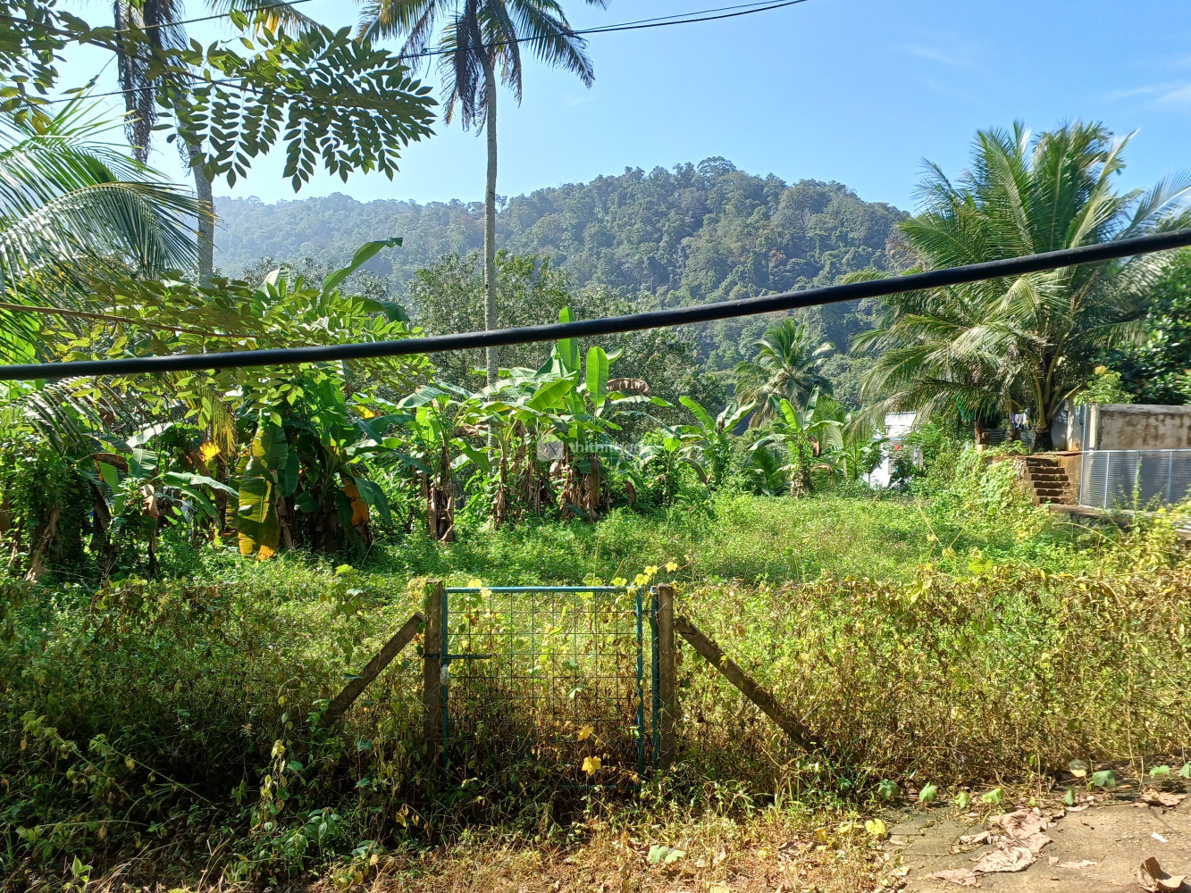 Residential Land available for Sale in Konni, Pathanamthitta
