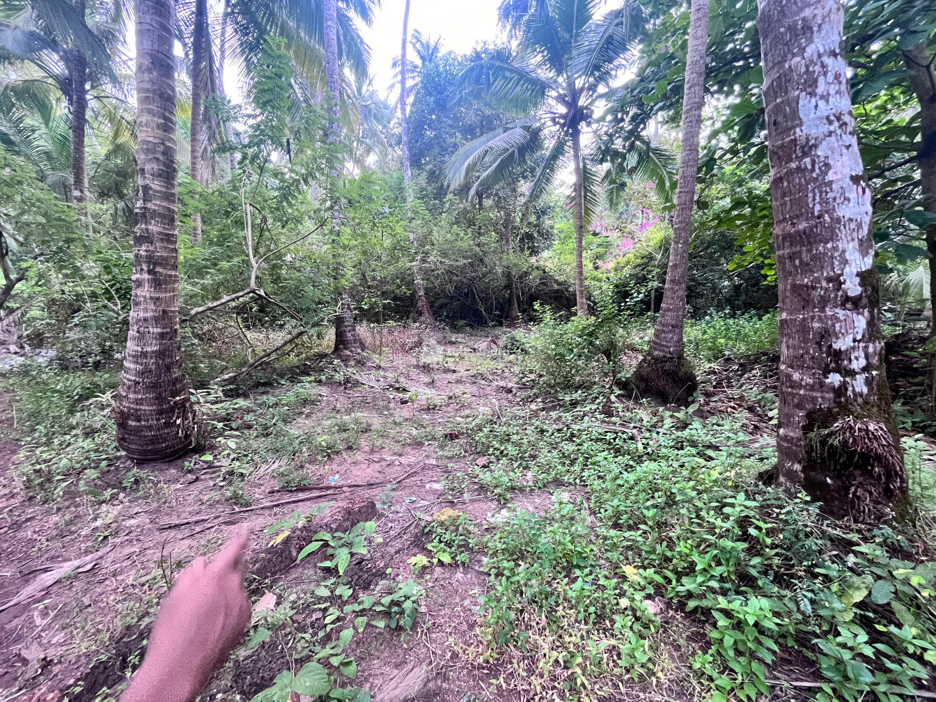 Commercial Plots available for Sale in Azhikode Kannur