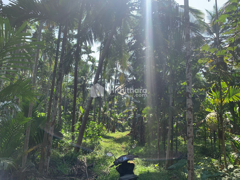 Commercial Plot available for Sale in Areacode Malappuram