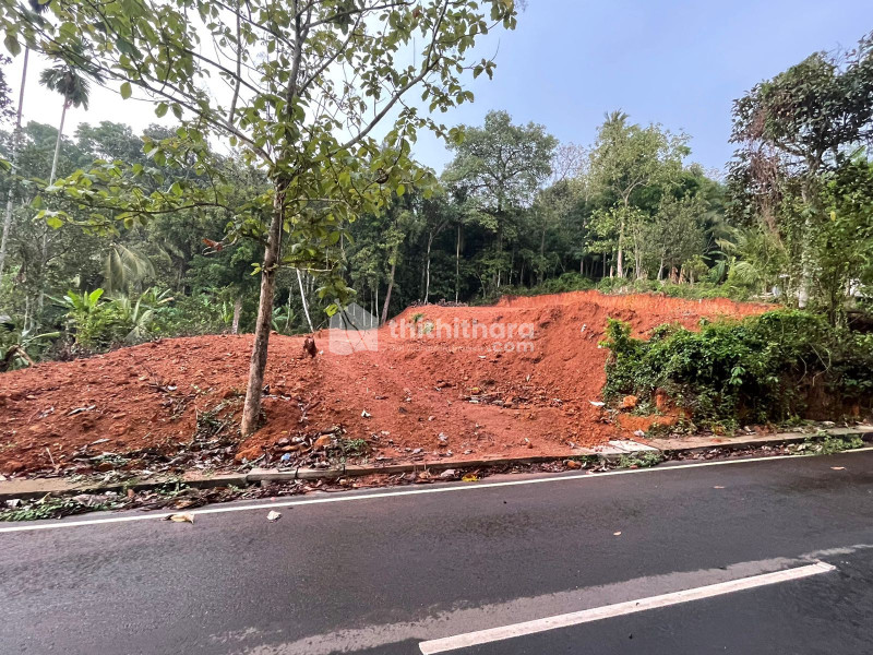 Residential Land available for Sale in Mallappally Pathanamthitta