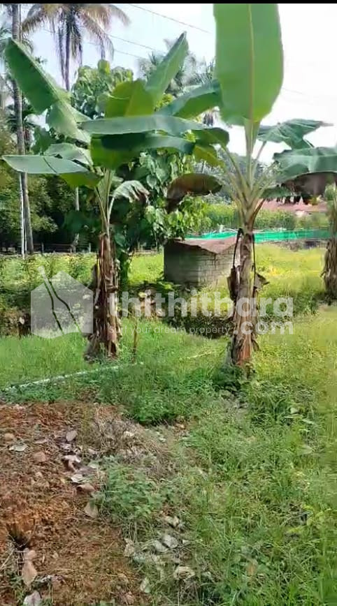 Resiendial land for sale in Kodakkara Thrissur