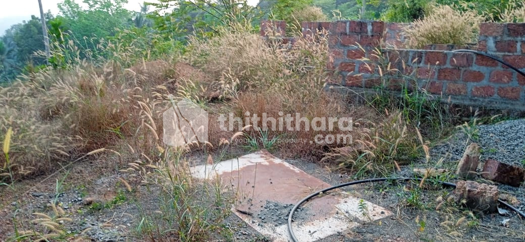 Residential Land available for Sale in Mukkam Kozhikode