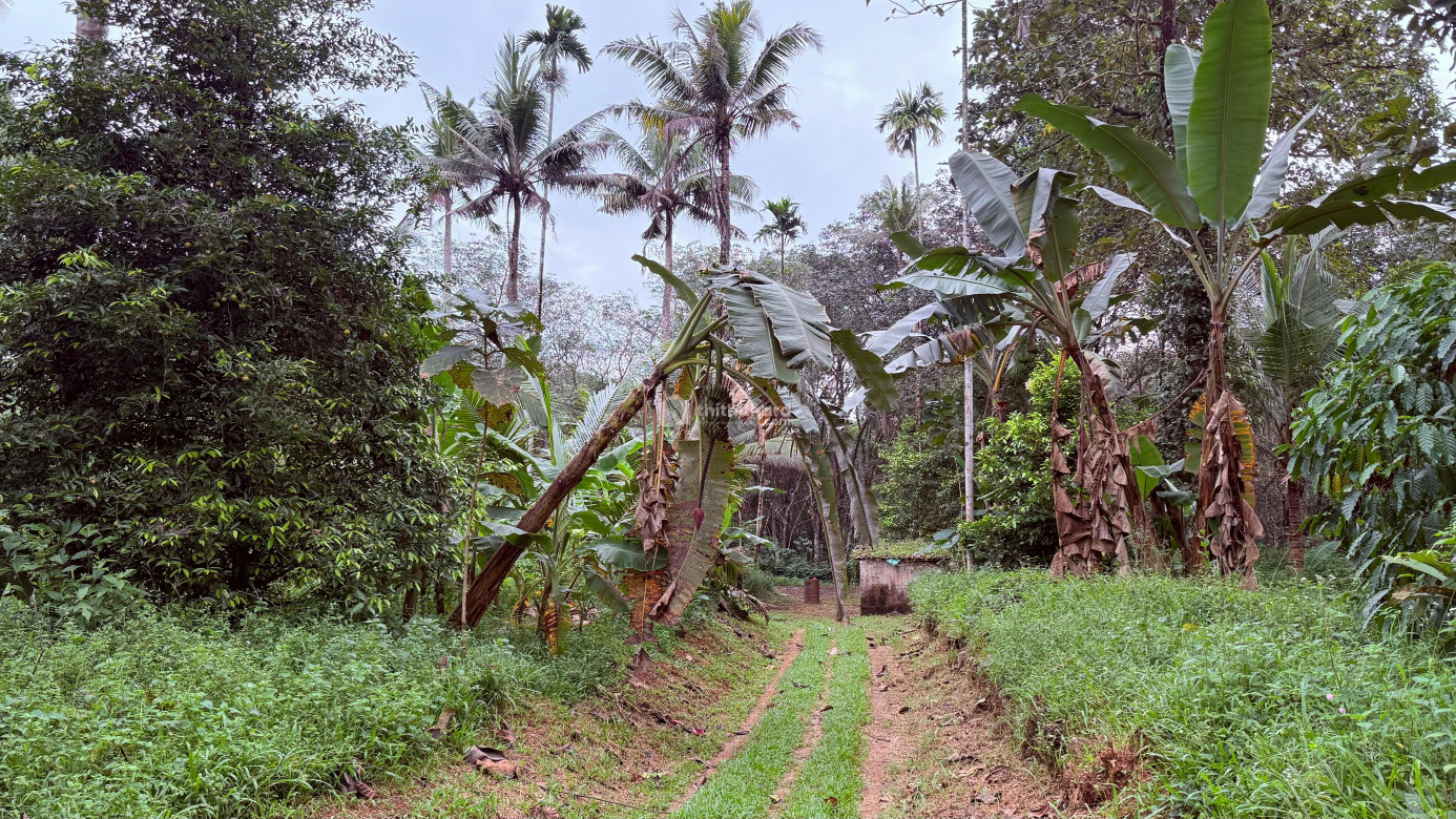 Residential Land available for Sale in Pala Kottayam