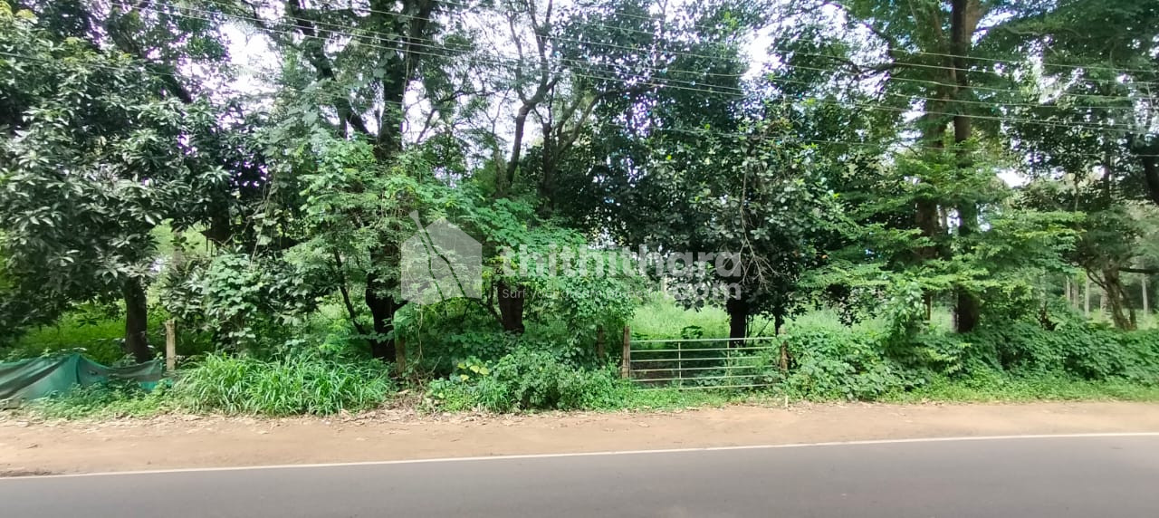 Commerical Land for sale in Athani, Thrissur