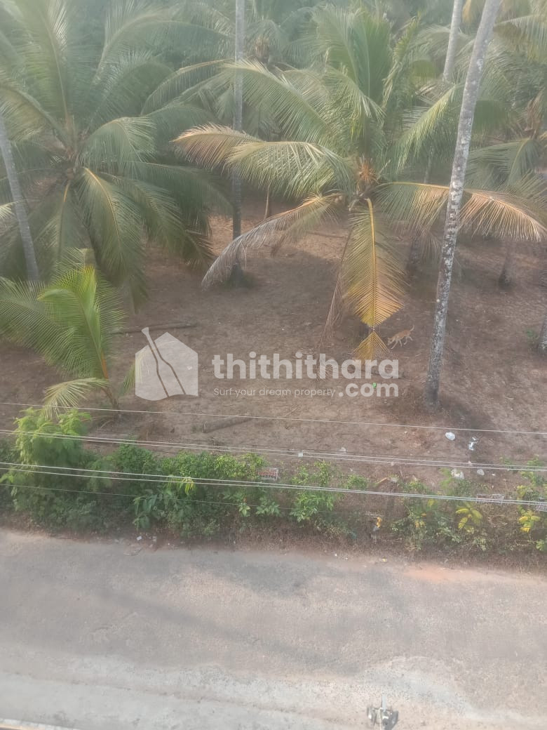 44Cent land for sale at Thriprayar, Thrissur