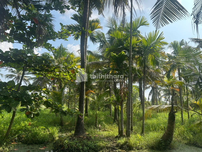 Residential land available for Sale in Thripunithura Ernakulam