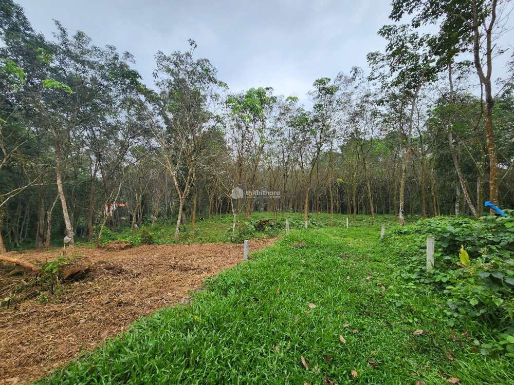 Residential land for sale at Karukachal Kottayam