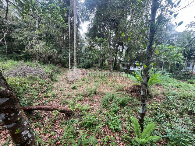 Commercial Plots available for Sale in Quilandy Kozhikode