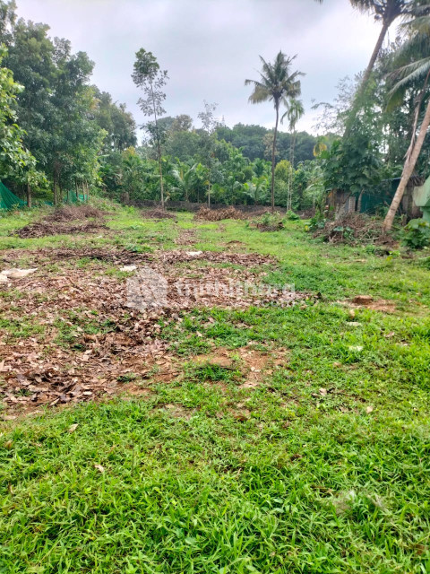 Residential Land available for Sale in Chalakudy Thrissur