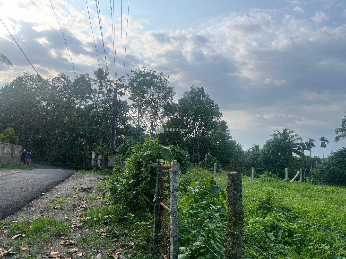 Residential Land available for Sale in Elanthoor Pathanamthitta