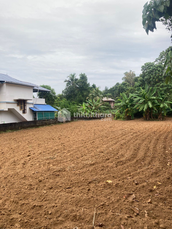 Residential Land available for Sale in Thripunithura Ernakulam