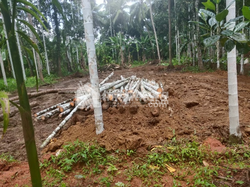 Residential land for sale at Kunnamangalam Kozhikode