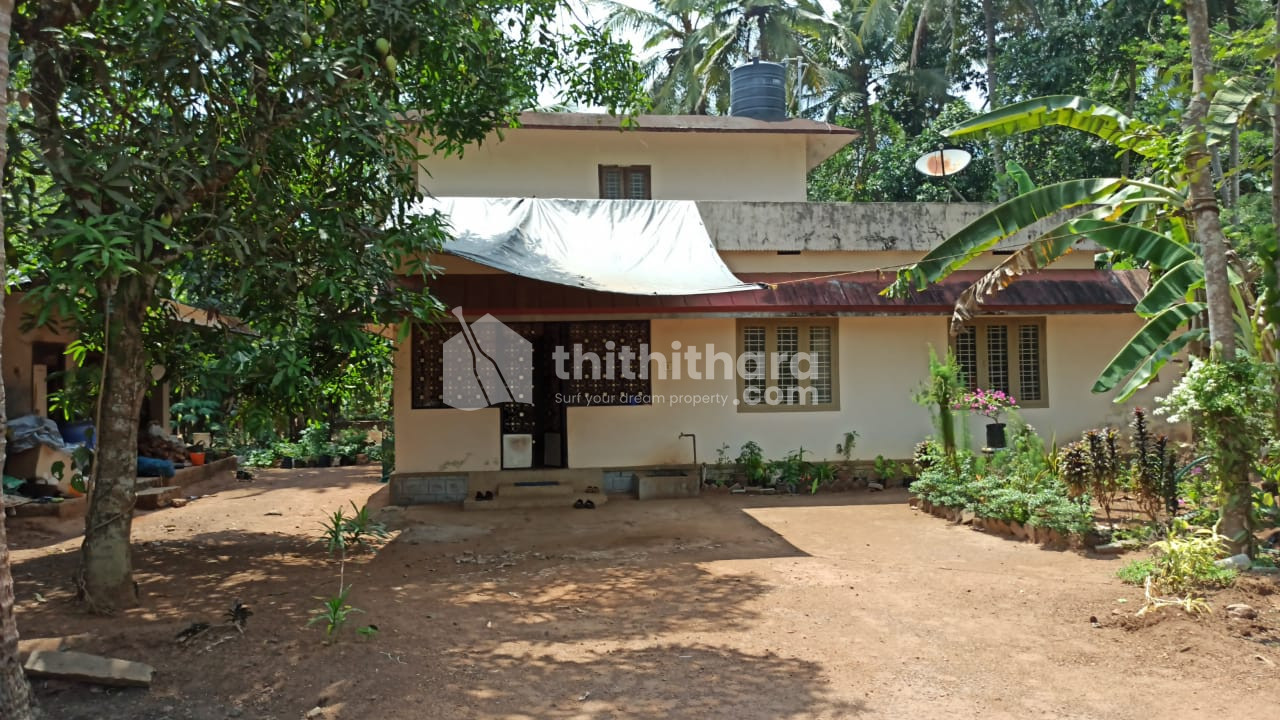 61  cent land for sale at Chalusseri ,Palakkad