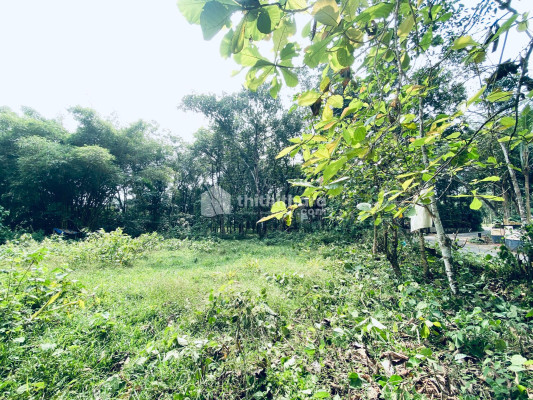 Residential Land available for Sale in Pala Kottayam