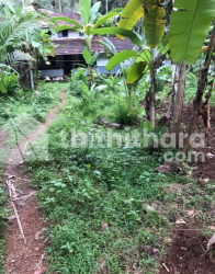 Residential land for sale at Koyilandi Kozhikode