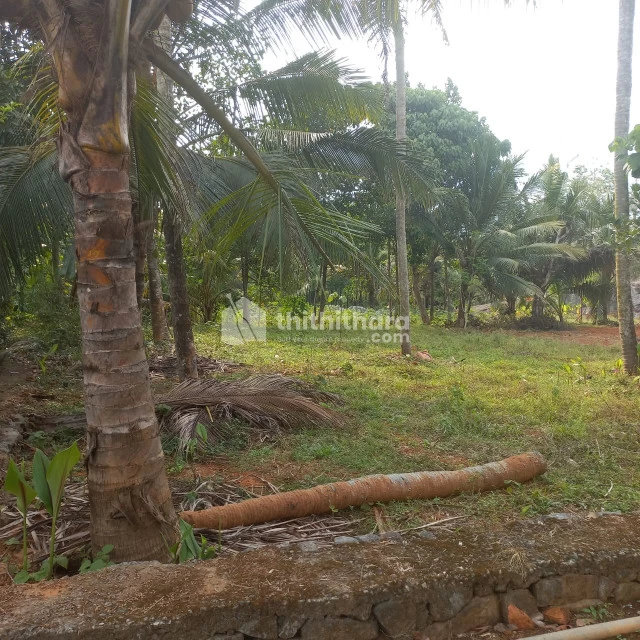 13 cent land for sale at Nellimattam,Kothamangalam