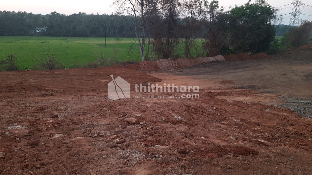 Commercial Plots for sale at Alathur Palakkad
