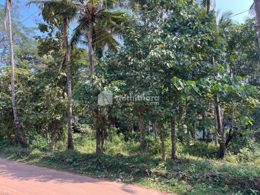 Residential land available for Sale in Kuthuparamba Kannur