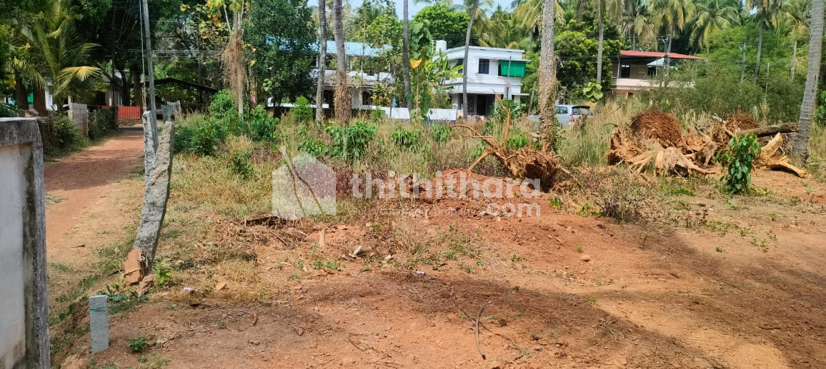 Commerical Land for sale in Puzhakkal, main roadThrissur