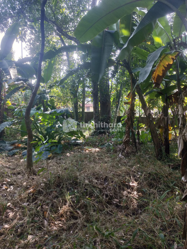 Residential land for sale at Mukhathala Kollam