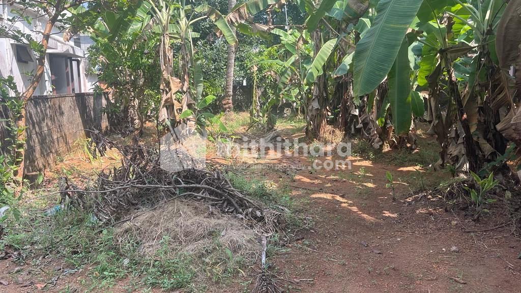 Residential Land available for Sale in Kakkanad Ernakulam