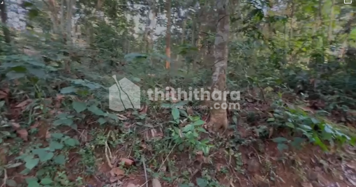 Residential Land available for Sale in Perumbavoor Ernakulam