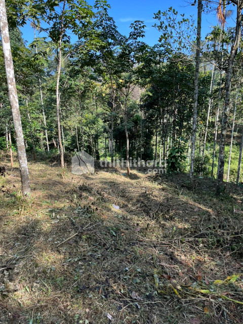 Residential Land available for Sale in Sulthanbathery Wayanad