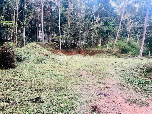 Residential Land available for Sale in Perinthalmanna Malappuram
