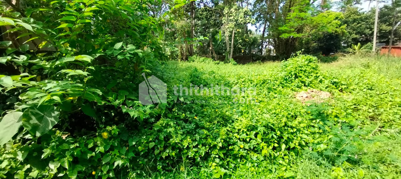 Residential Land for sale in Chungam Thrissur