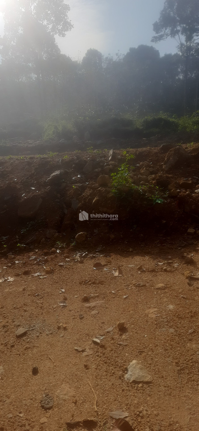 Residential land for sale at Kanjirappally Kottayam