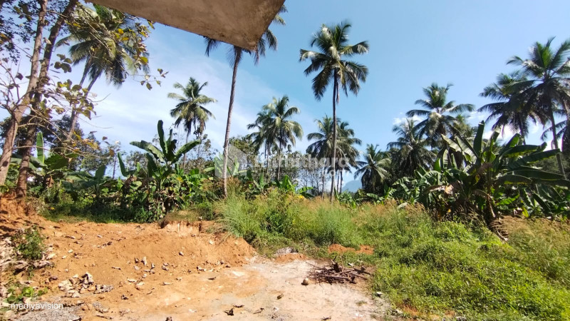 60 cent land for sale at Kalladikode ,Palakkad