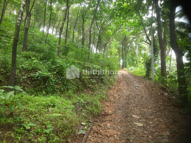 Agricultural Land for sale at Kuttiadi Kozhikode