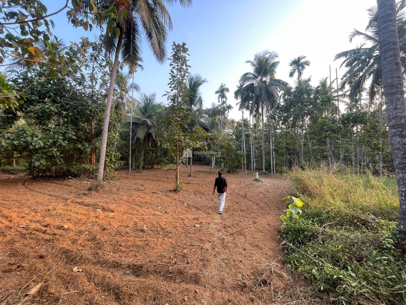 Commercial Plots available for Sale in Pattambi Palakkad