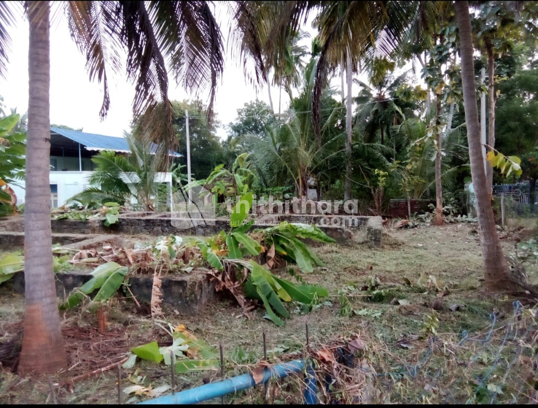 Residential land for sale at Chittur Palakkad