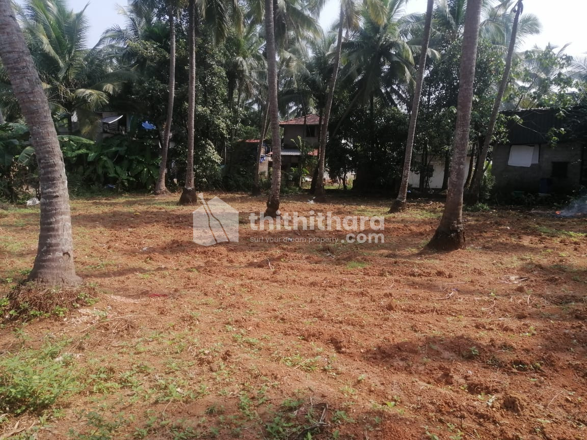 Commercial Plots available for Sale in Tirur Malappuram