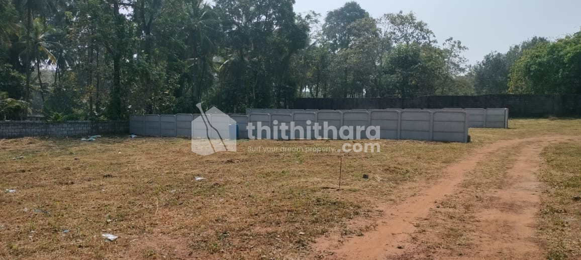 Residential land for sale at Nellikunnu Thrissur
