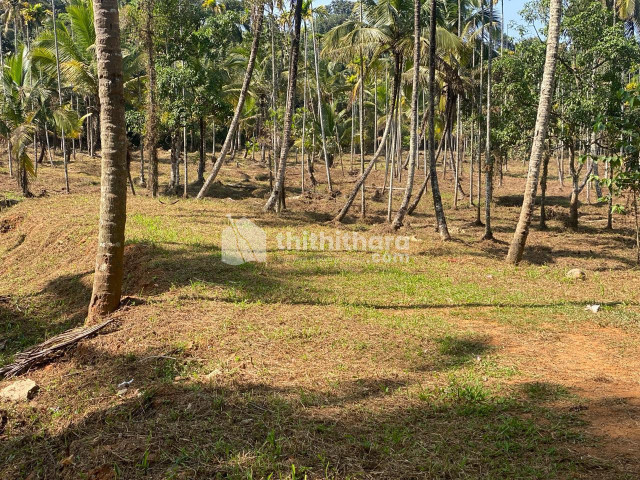 Commercial Plots available for Sale in Kalpetta Wayanad