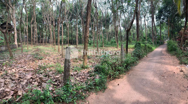 Residential land available for Sale in Mundur velecode Thrissur