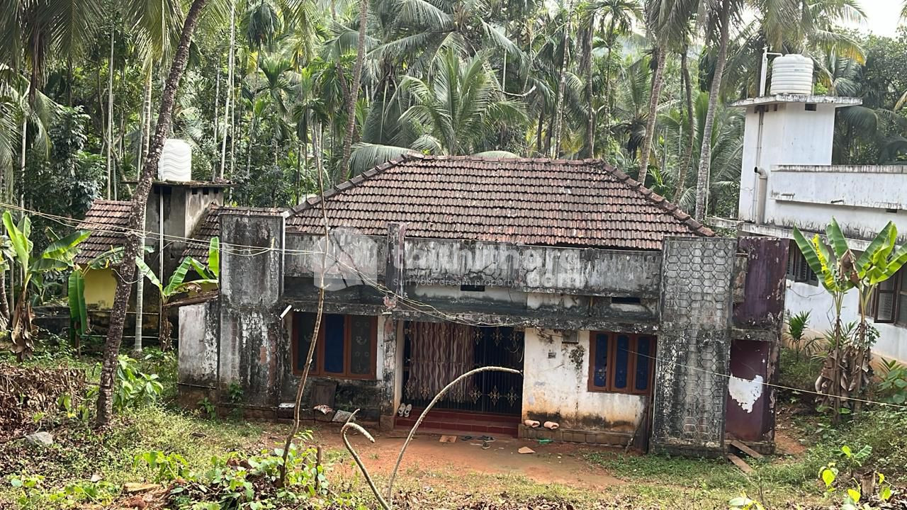 Residential Land available for Sale in Thrikaripur, Kasaragod