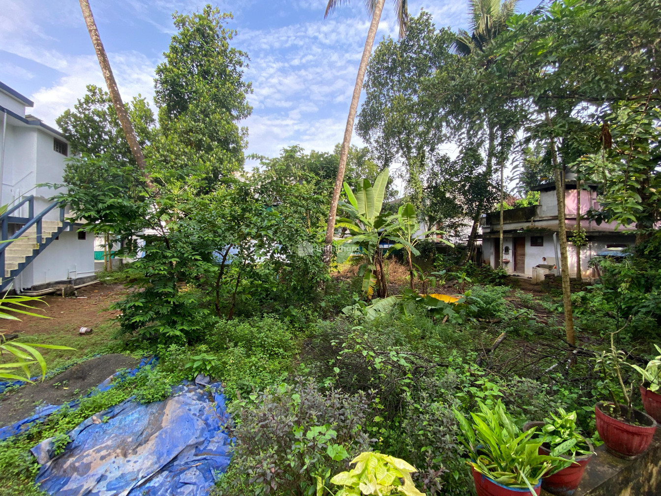 Residential Land available for Sale in Angamaly Ernakulam