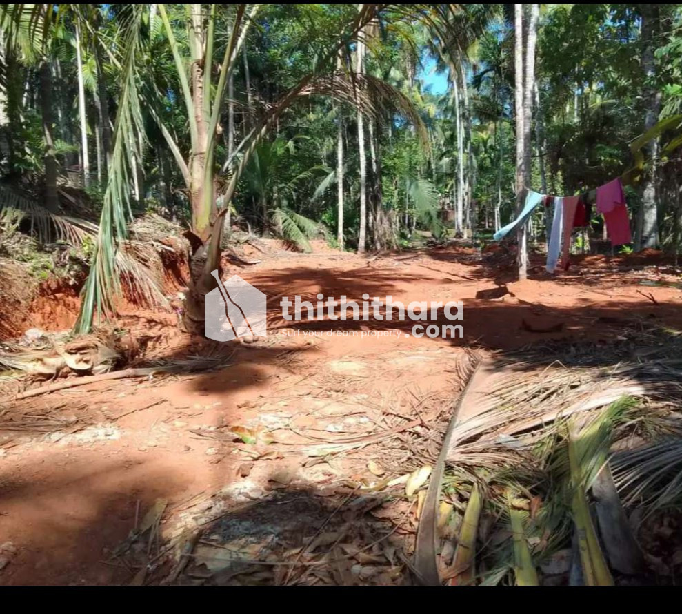Residential land available for sale in Balussery Kozhikode 