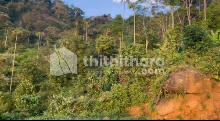 Commercial Plots available for Sale in Koodaranji Kozhikode