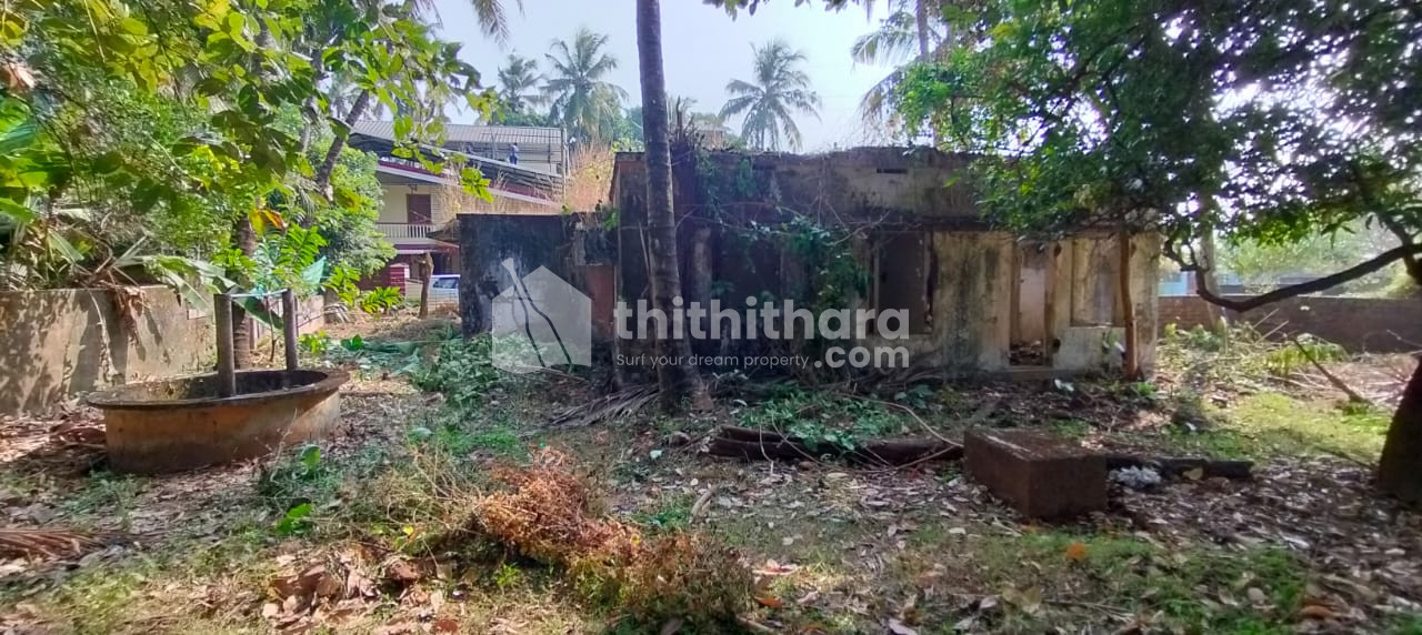 Residential Land Cent for sale In Patturaikkal Thrissur