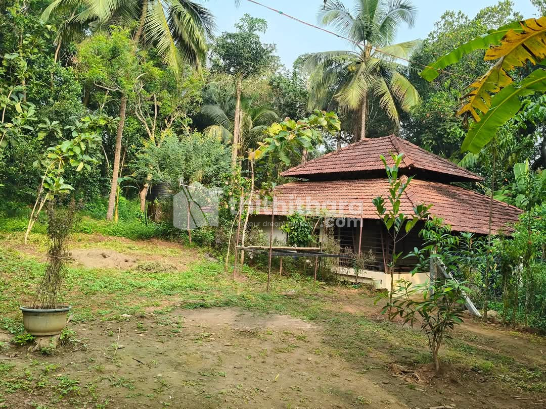 Residential land for sale at Ottapalam Palakkd