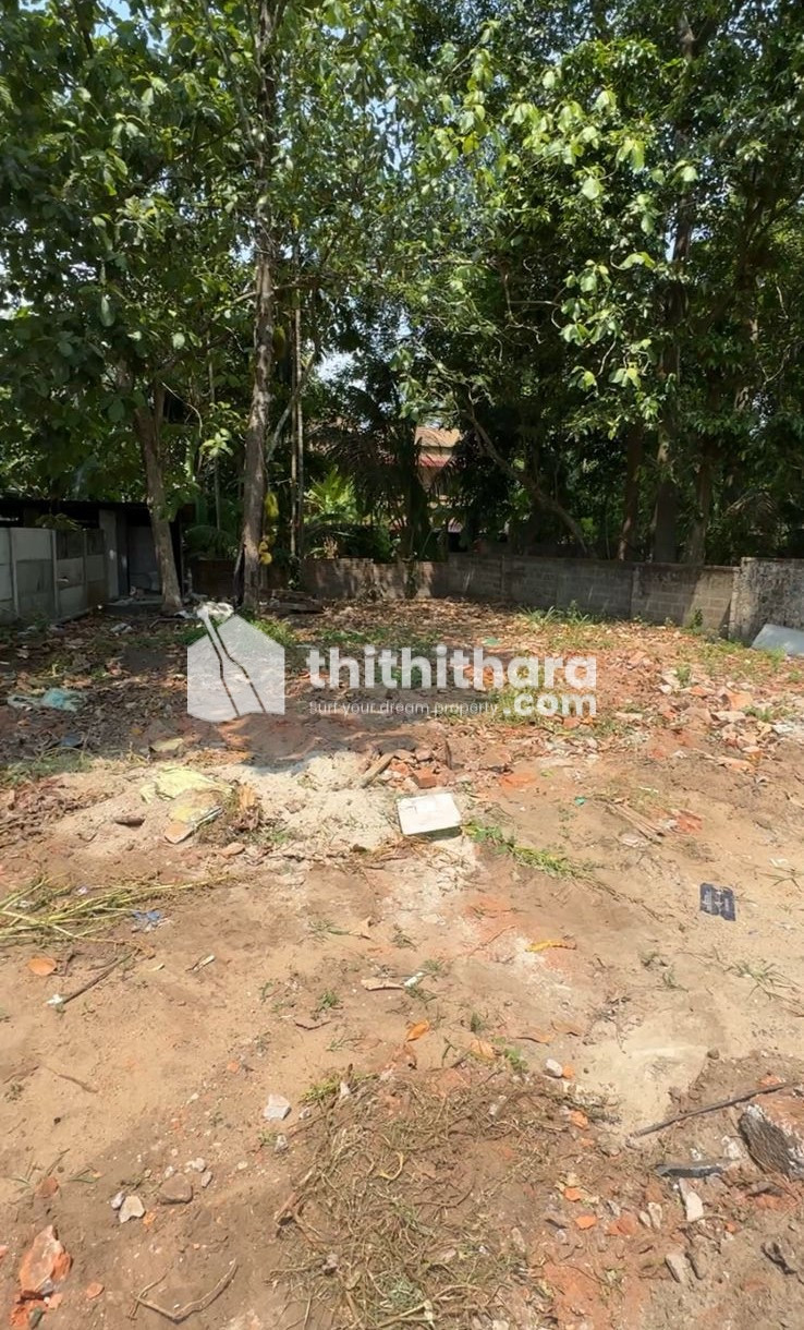 Commercial Plots available for Rent in Paravur Ernakulam